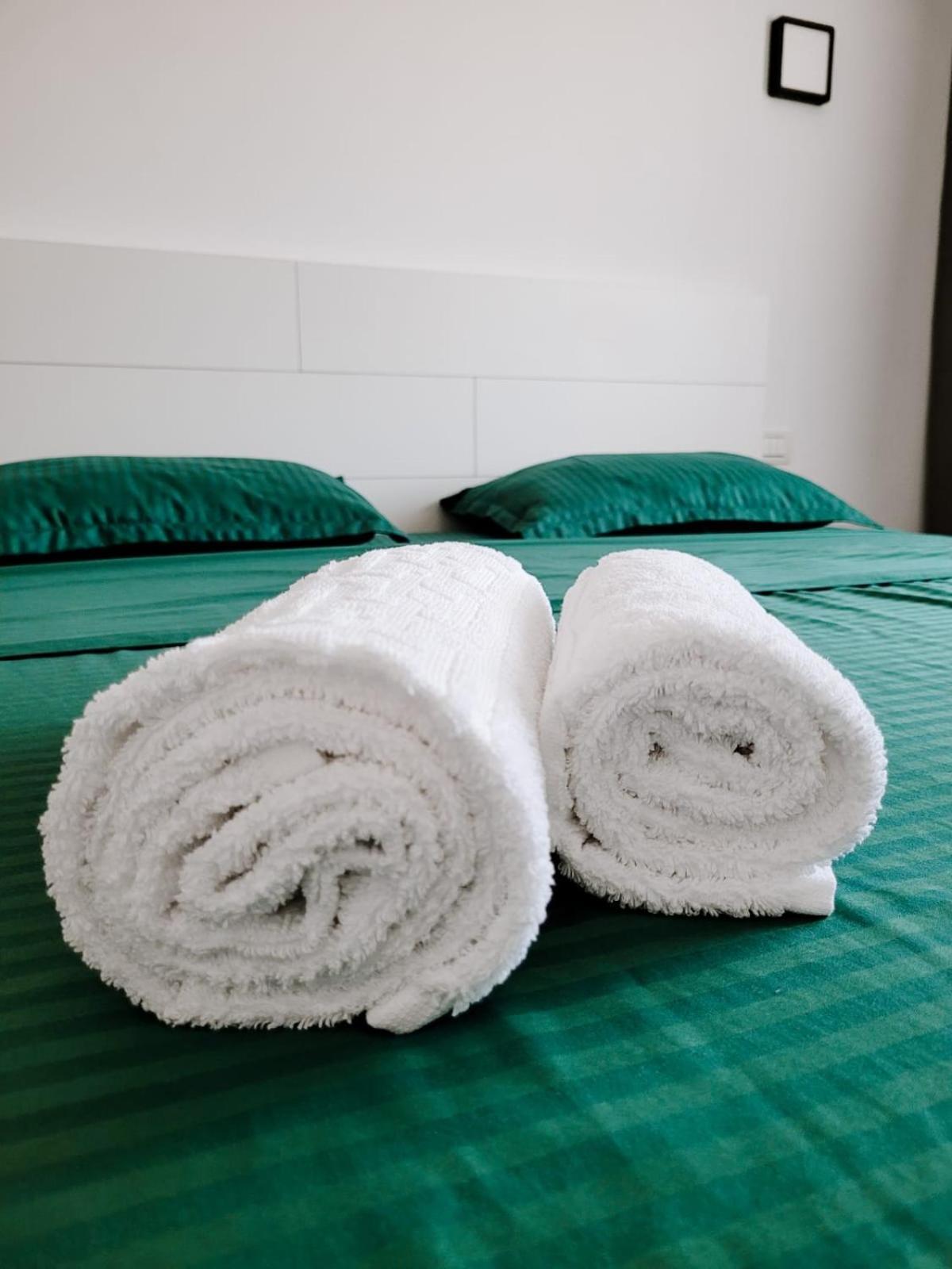 Cosy Apartment Făgăraş Zewnętrze zdjęcie